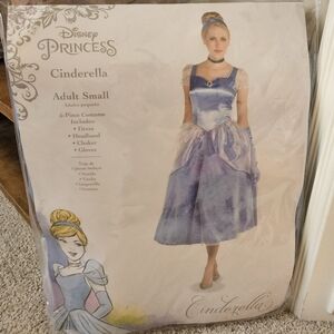 Disney Cinderella Adult Costume - Blue and White
